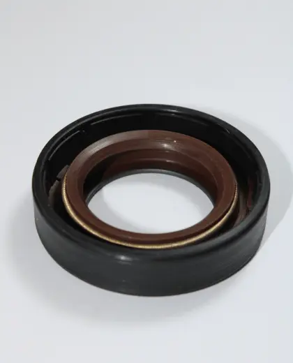 کاسه نمد بی اچ ای کاسه نمد پلوس بزرگ کربن دار پژو ۴۰۵ BHA Oil Seal